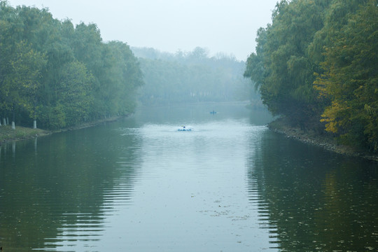 湖泊叢林