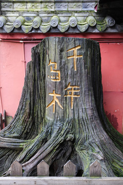 千年烏木 陰沉木