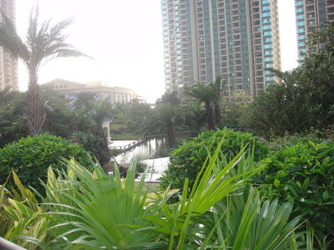 公園
