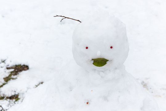 雪人特寫