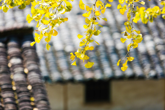 韶關(guān)南雄