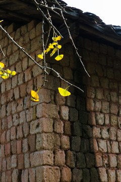 韶關(guān)南雄坳背村