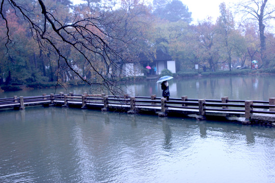 曲橋