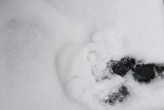 雪地 紋理