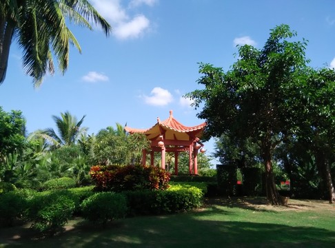 風(fēng)景