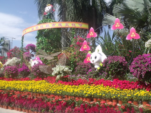 深圳 蓮花山 公園 杜鵑花 節(jié)