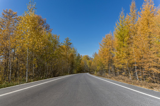 公路