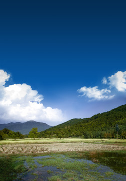 黃山田野風(fēng)光