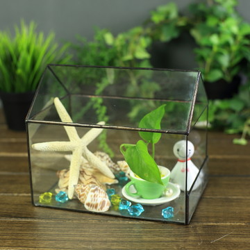 玻璃花房