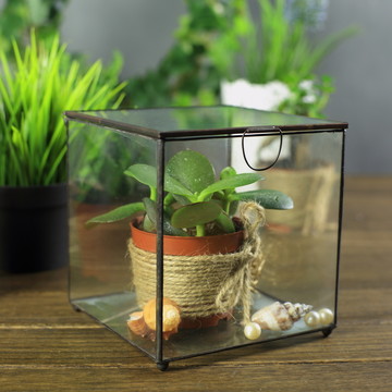 玻璃花房