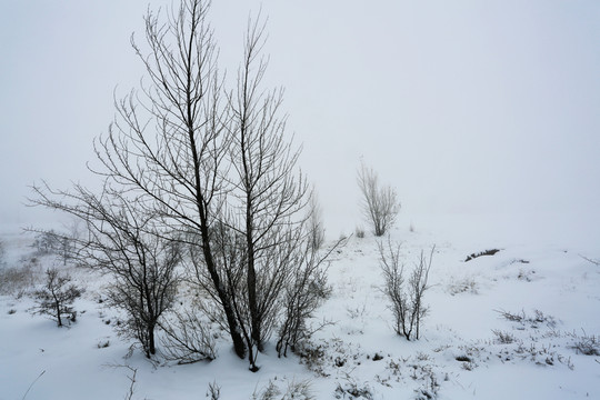 內(nèi)蒙古雪景高清大圖攝影作品
