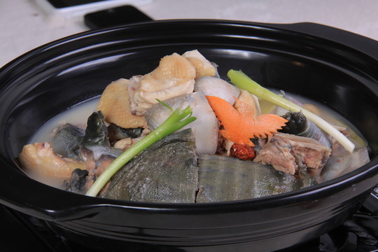 甲魚(yú)燉雞
