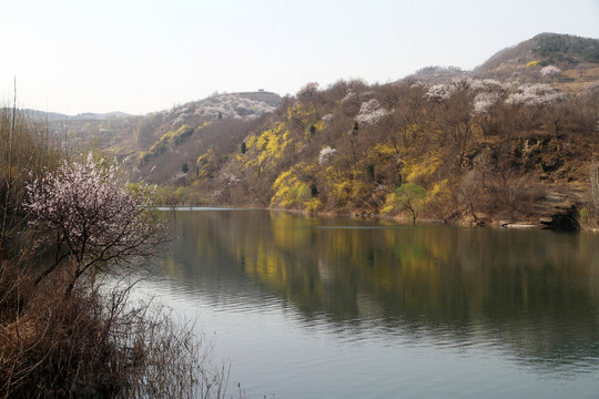 水庫 春天