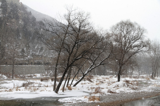 大山雪景