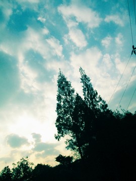 树木和蓝色天空 远望天空