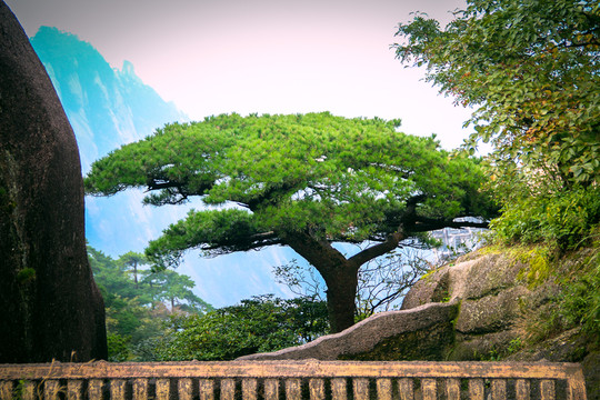 黃山前山