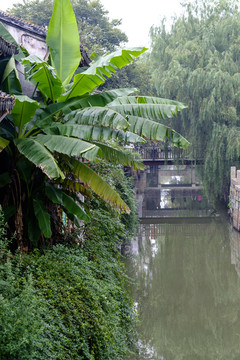江南古鎮(zhèn)