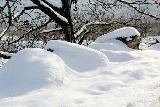 大雪覆蓋的大石頭