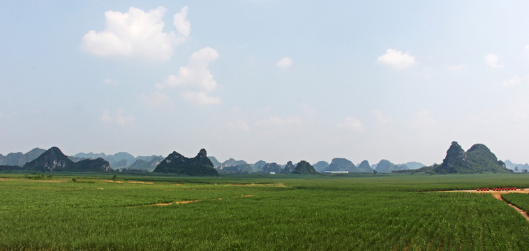 蔗海