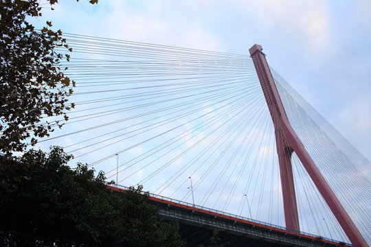 楊浦大橋