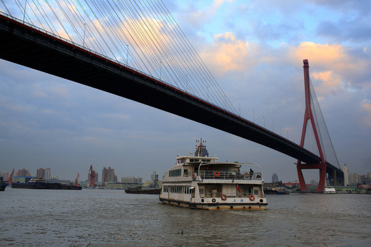 上海楊浦大橋