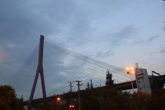 楊浦大橋