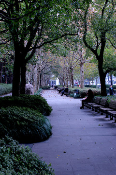 公園長椅