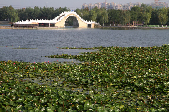 城市公園
