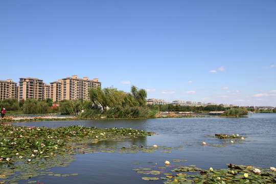 城市公園