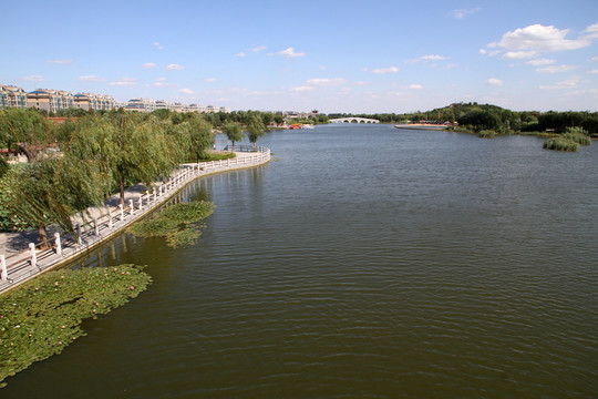 城市公園