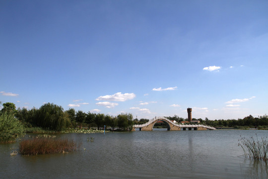 城市公園