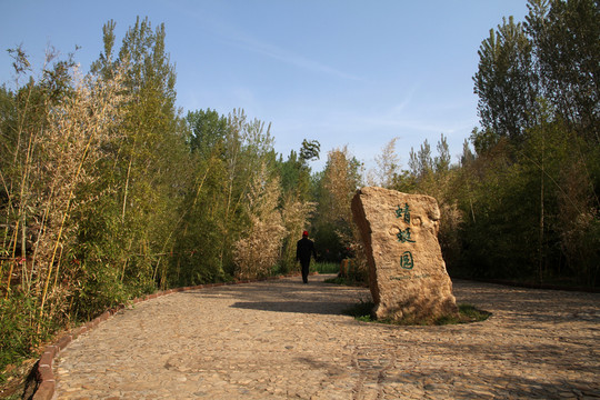 景點(diǎn) 蜻蜓園 小廣場(chǎng)