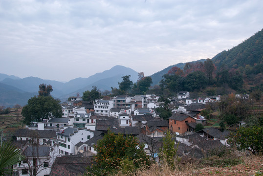 婺源山村