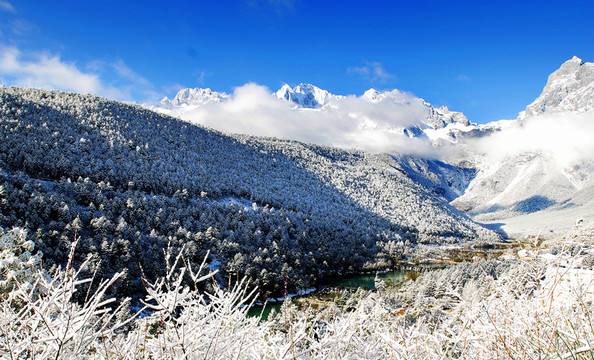雪山間的溪流