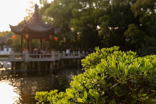 夕陽下的古漪園