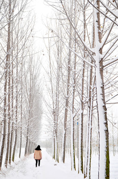 北方天空 大雪 雪后田野 天氣
