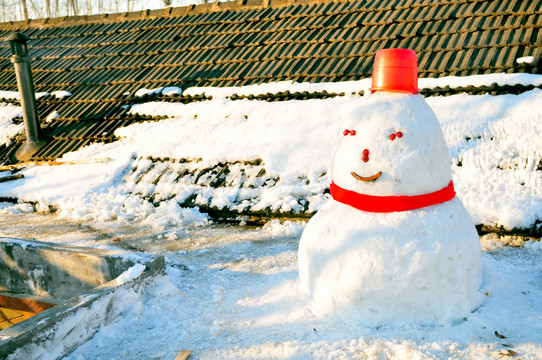 北方 大雪 雪人