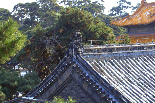沈陽昭陵