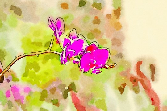 鮮花素材 水彩畫(huà)