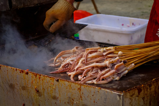 魷魚(yú)