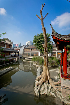 龍?zhí)端l(xiāng)