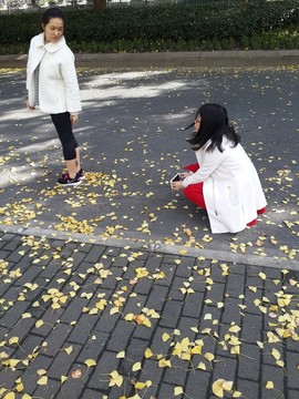 金黃色的銀杏葉