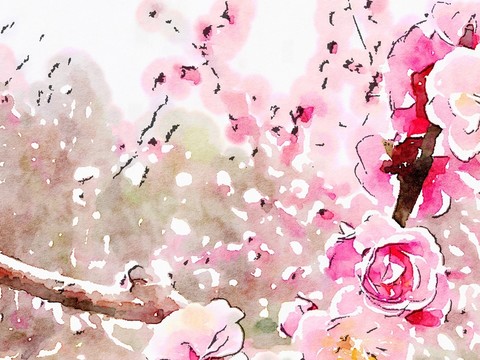 花卉水彩 裝飾畫