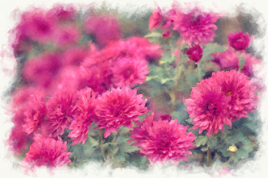 裝飾畫(huà) 花朵 TIF無(wú)分層