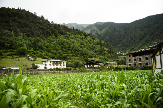 雨崩村