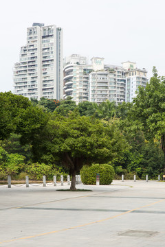 城市公園