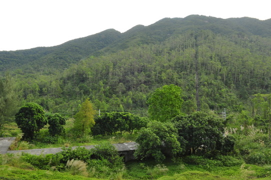嶺南綠山