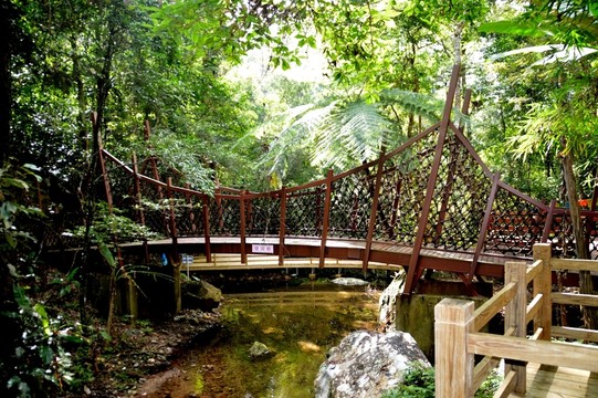 五指山里的旅游棧道