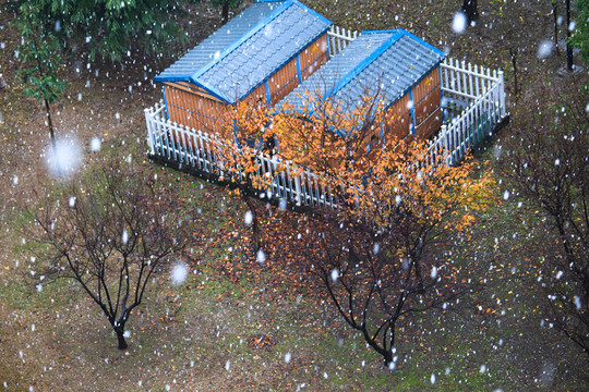 雪花下的小屋
