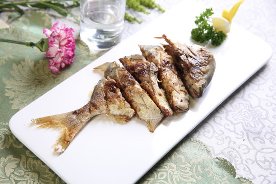魚